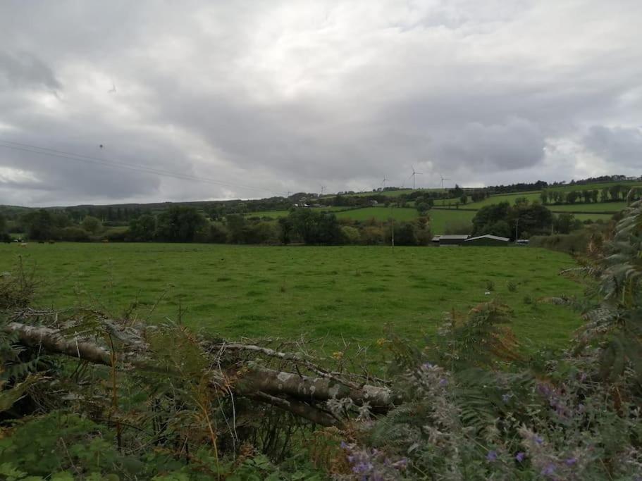 Caman Inn Kilkenny Exteriér fotografie